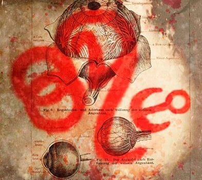 OOA, The Tension Experience