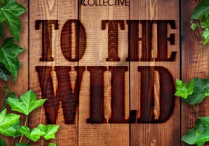 Shine on Collective To The Wild