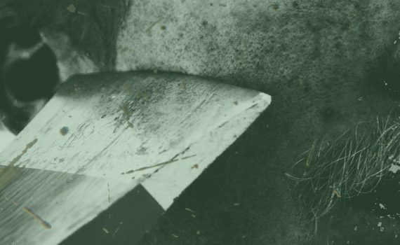 Speakeasy Society The Kansas Collection Chapter 2 The Axe