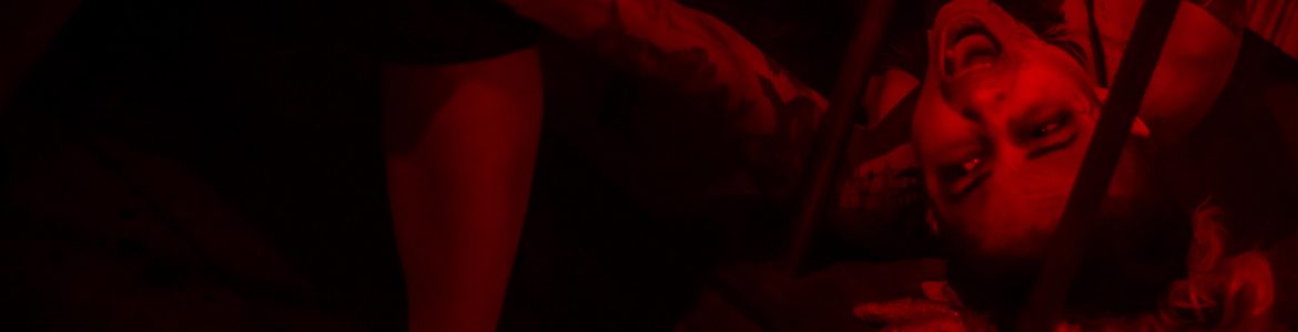 Midsummer Scream Hall of Shadows